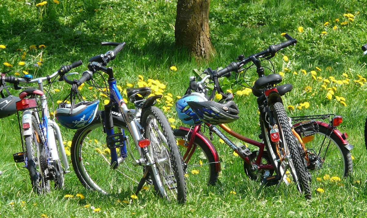 Aikuisten ja lasten polkupyörät rivissä parkissa.