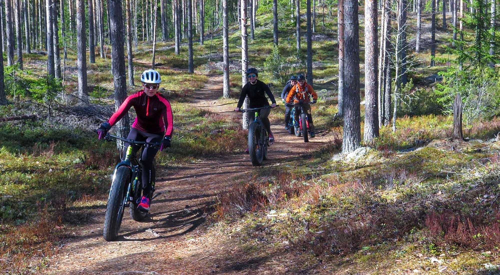 Pyöräilijöitä metsässä fatbike-pyörillä.