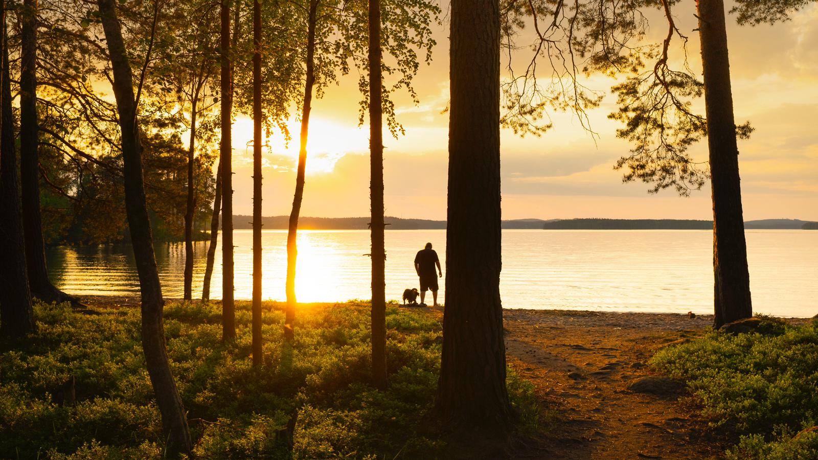 Kuvassa mies ja koira rannalla.