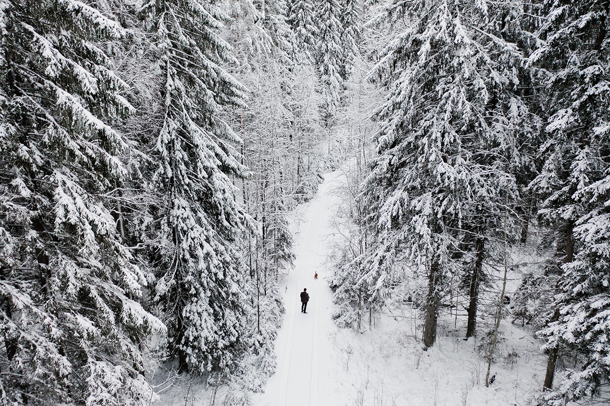 Luminen ilmakuva metsästä, jossa kävelee aikuinen ja lapsi.