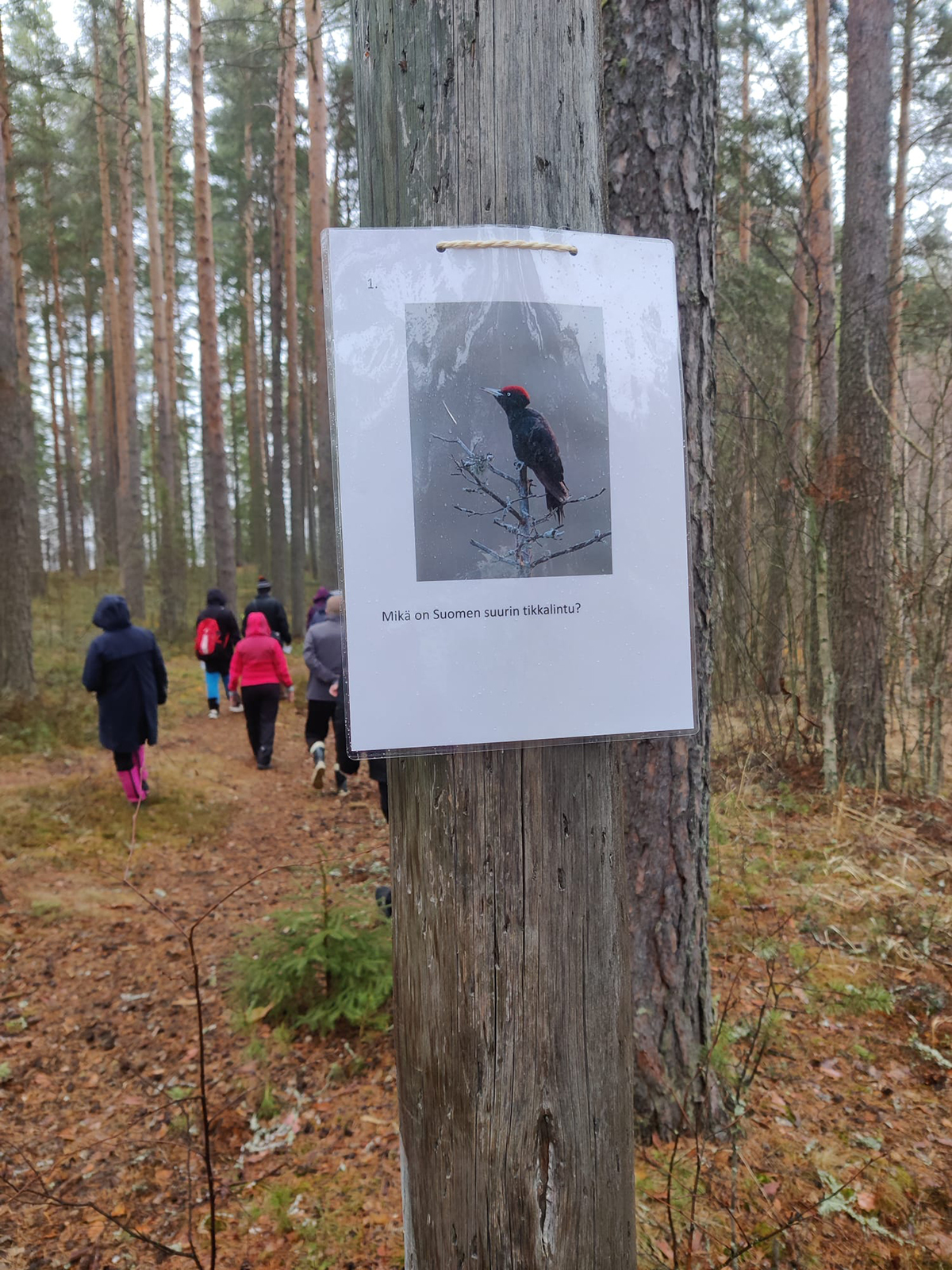 luontopolulla
